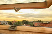 rated Ridge Lane roof window companies